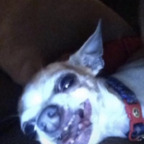 allyoop (Allyoop) free OnlyFans content 

 profile picture