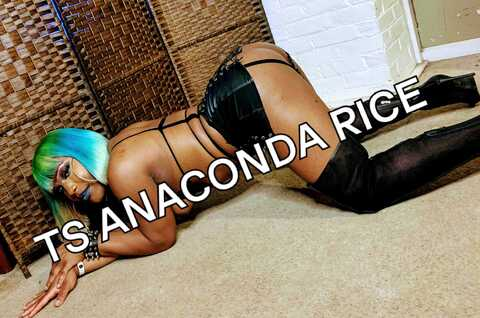 anconda_rice23 onlyfans leaked picture 1