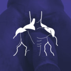 View andreshenri OnlyFans content for free 

 profile picture