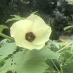 ardor OnlyFans Leaked (49 Photos and 32 Videos) 

 profile picture