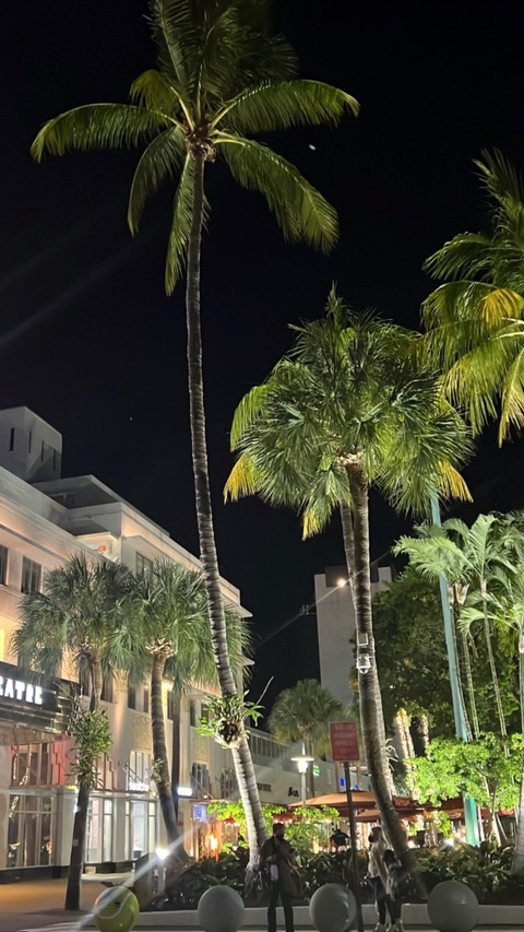 ari.luvtx onlyfans leaked picture 1