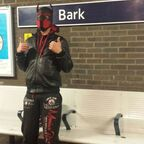 asterpuppy (Asterpup) free OnlyFans Leaked Content 

 profile picture