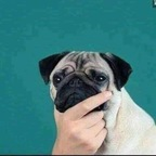 Hot @azazelandlilith leaked Onlyfans photos for free 

 profile picture