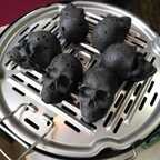 Get Free access to backes (Backes) Leaked OnlyFans 

 profile picture