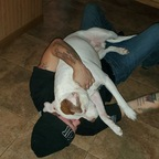 bambam610 (Bam bam) free OnlyFans Leaked Pictures & Videos 

 profile picture