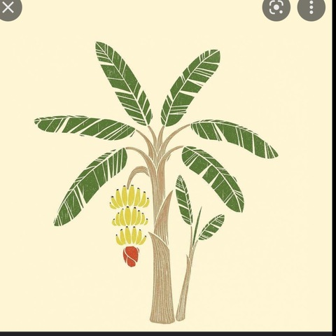 bananasforu onlyfans leaked picture 1