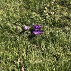 View bb_dev OnlyFans videos and photos for free 

 profile picture