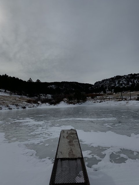 bellababy7714 onlyfans leaked picture 1