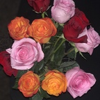 New @bexxx16 leaked Onlyfans videos and photos for free 

 profile picture