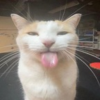 Download bjorkkkkk OnlyFans content for free 

 profile picture