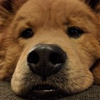 brianwrecks (Ryan) OnlyFans Leaks 

 profile picture