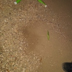 bt134 OnlyFans Leaked 

 profile picture