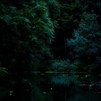 bunnybbyxxx (Bunny) free OnlyFans Leaked Content 

 profile picture