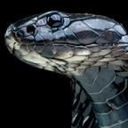 Trending @carantinos leak Onlyfans videos free 

 profile picture