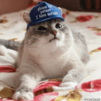 Onlyfans leaked catinthebluehat 

 profile picture