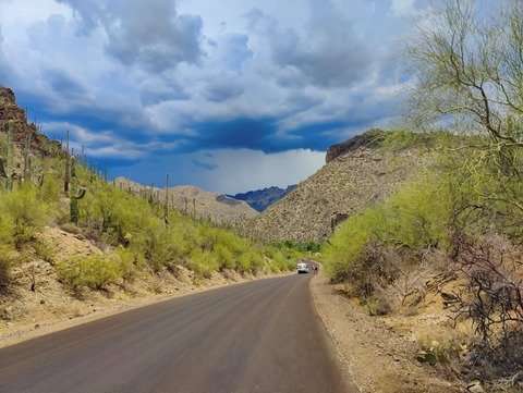 daisyplum23 onlyfans leaked picture 1