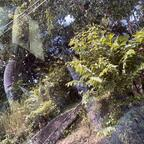 View darae OnlyFans videos and photos for free 

 profile picture