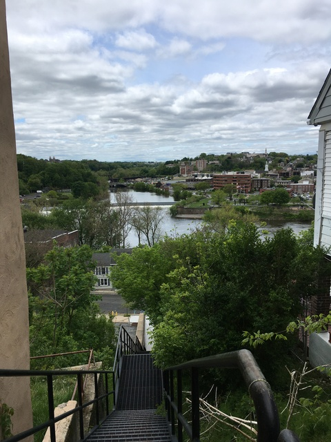 daveydavedill onlyfans leaked picture 1