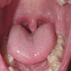 Download dirtyteacup1 OnlyFans videos and photos for free 

 profile picture