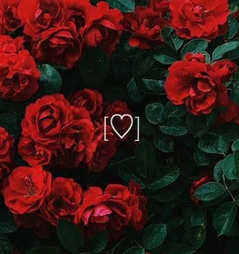 divinerose222x onlyfans leaked picture 1