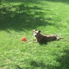 dustinikert OnlyFans Leaks (49 Photos and 32 Videos) 

 profile picture