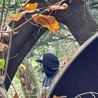 et-tokes OnlyFans Leak (49 Photos and 33 Videos) 

 profile picture