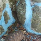 gabri OnlyFans Leak 

 profile picture