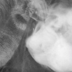 View Nympho101 (glorybust) OnlyFans 49 Photos and 32 Videos for free 

 profile picture