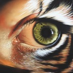 Trending @goncalves leaked Onlyfans content for free 

 profile picture