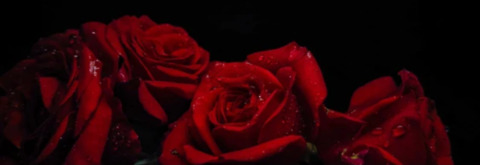 gothicbeauty00 onlyfans leaked picture 1