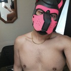 gummipup OnlyFans Leaked (49 Photos and 32 Videos) 

 profile picture