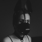 hifipup OnlyFans Leak (75 Photos and 32 Videos) 

 profile picture