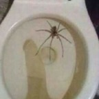 Hot @hot-n-heavy leaked Onlyfans content free 

 profile picture