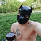 View Igy (pup/owner) (igamenir) OnlyFans 49 Photos and 32 Videos gallery 

 profile picture