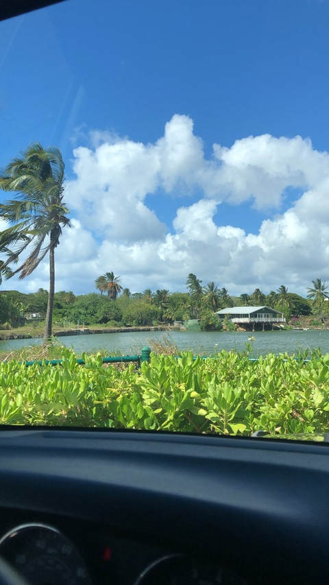 islandgirl1 onlyfans leaked picture 1