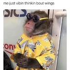 kellogkrew OnlyFans Leak (49 Photos and 32 Videos) 

 profile picture