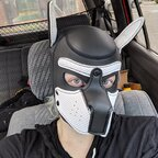 View kikohuskyad (KikoHusky) OnlyFans 49 Photos and 32 Videos leaks 

 profile picture