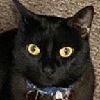 kneecap OnlyFans Leaked (49 Photos and 32 Videos) 

 profile picture