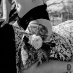 laa_petitemort (Laa_petitemort) free OnlyFans Leaked Content 

 profile picture