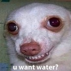 liljuli (JuJu) free OnlyFans content 

 profile picture