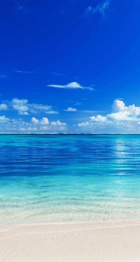 lilxander onlyfans leaked picture 1