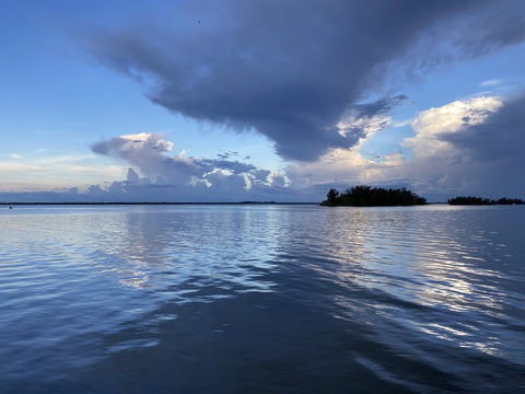 littleariesbaby onlyfans leaked picture 1