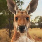 View lmpphoto OnlyFans content for free 

 profile picture