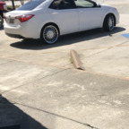 Free access to longblack Leak OnlyFans 

 profile picture