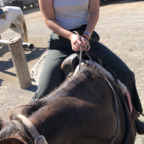 Trending @manicpixiecowgirl leaks Onlyfans content free 

 profile picture