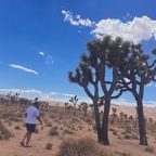 manni1b (Manni B) free OnlyFans Leaks 

 profile picture