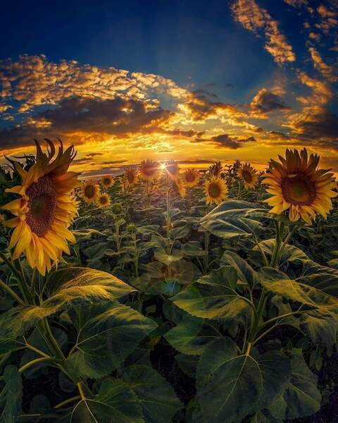 meggerz9010 onlyfans leaked picture 1