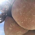 Get Free access to micaababyhot (Micaa) Leaks OnlyFans 

 profile picture