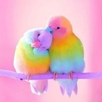 Trending @missjames leak Onlyfans photos for free 

 profile picture