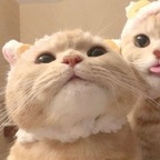 mummy onlyfans leaked picture 1